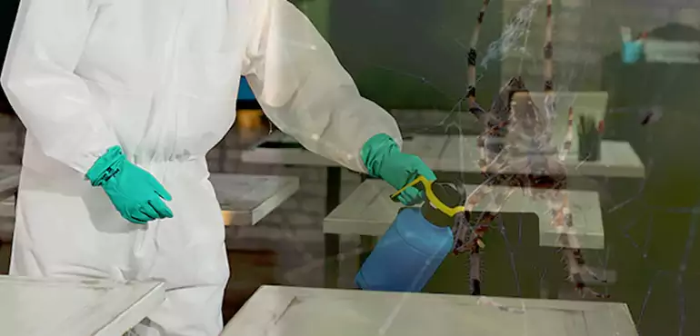 Why Buyers Still Want Homes With Pest Infestations in Laredo, TX?