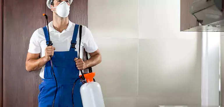 Why Laredo Homeowners Choose Us When Pests Make Selling Difficult