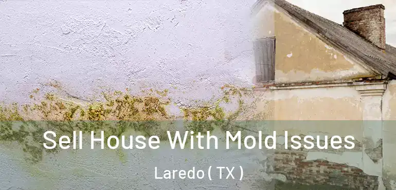  Sell House With Mold Issues Laredo ( TX )